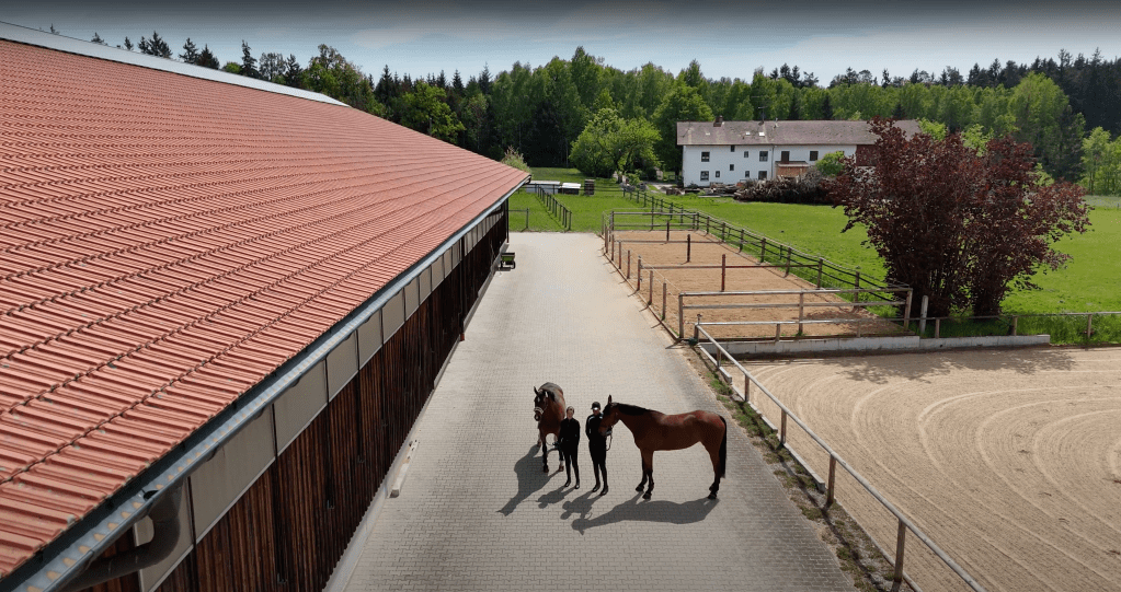 Täglicher Koppel und Paddock gang für Sportpferde