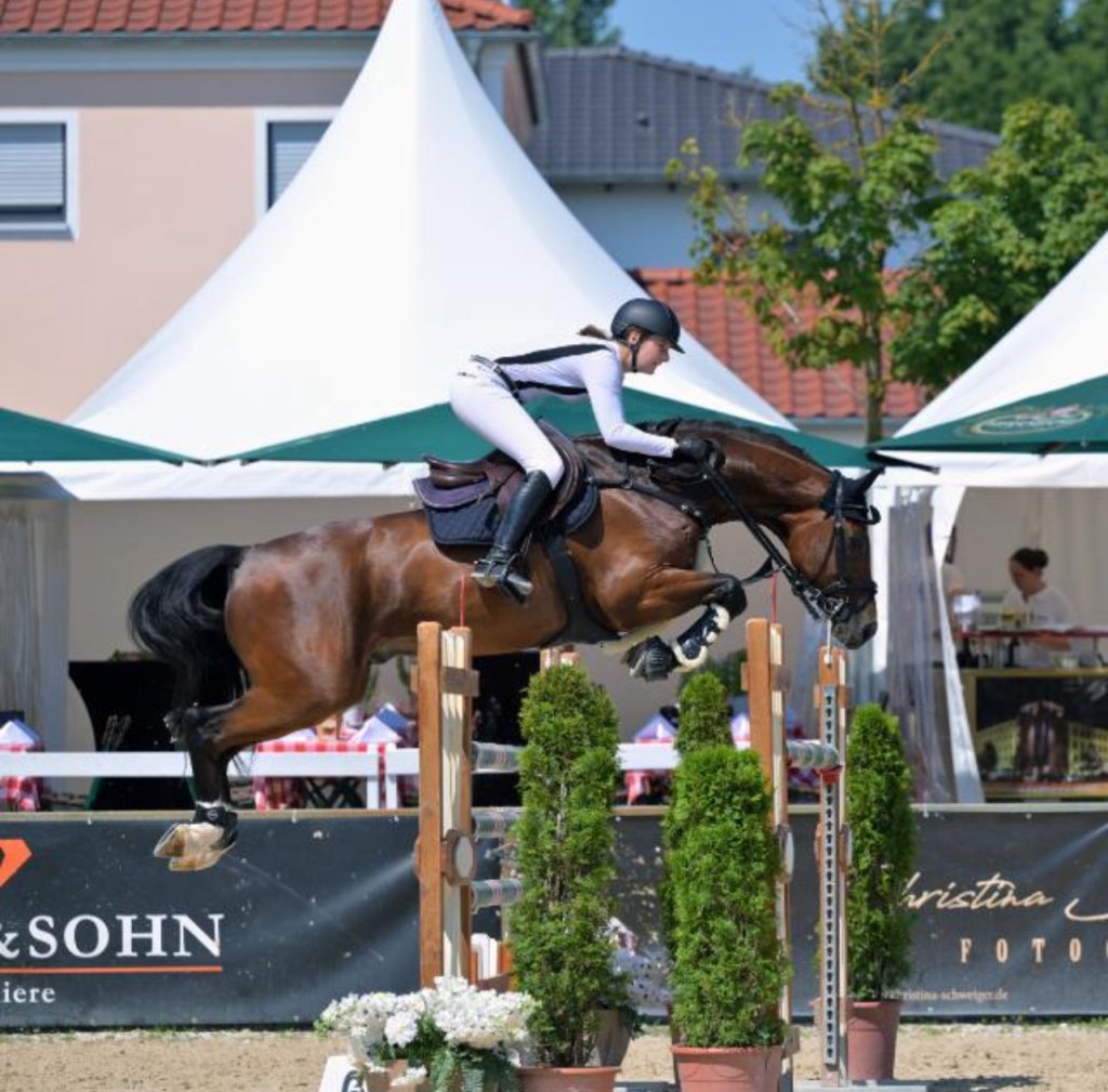 Springpferd erfolgreich bis 140 vorgestellt