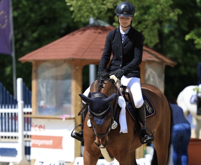 Springpferde Ausbildung und Training fürs Turnier